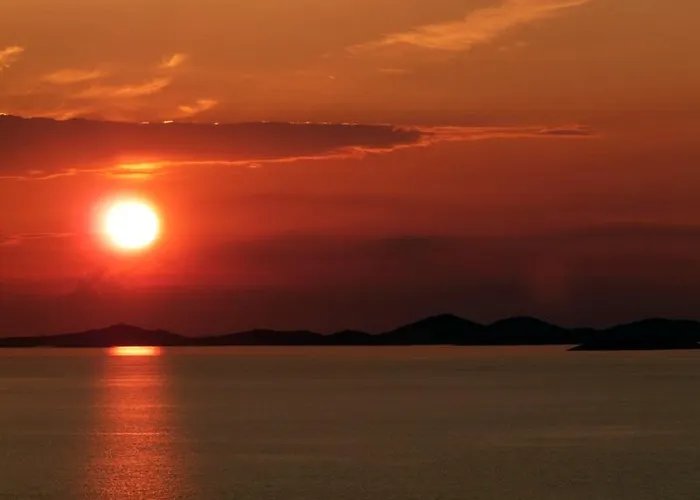 Tomas * 프리모스턴