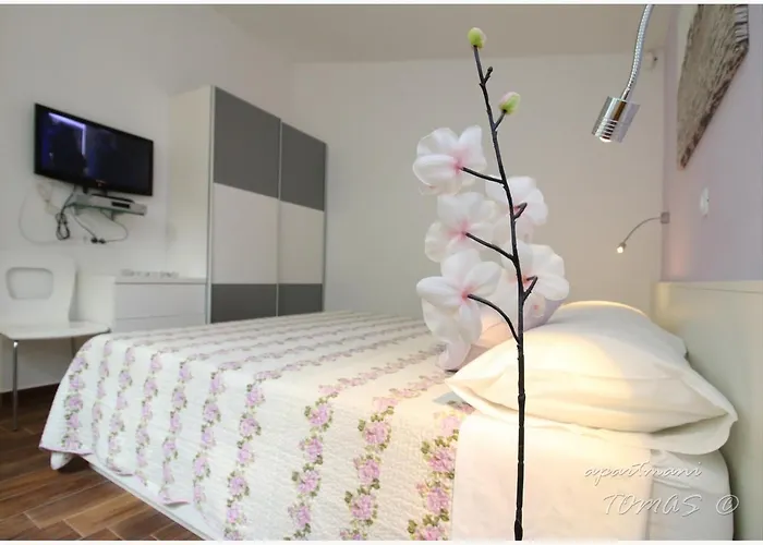 Tomas * 普利莫顿